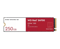 Sandisk 250GB M.2 PCIe NVMe Red SN700 - 691660 - zdjęcie 1